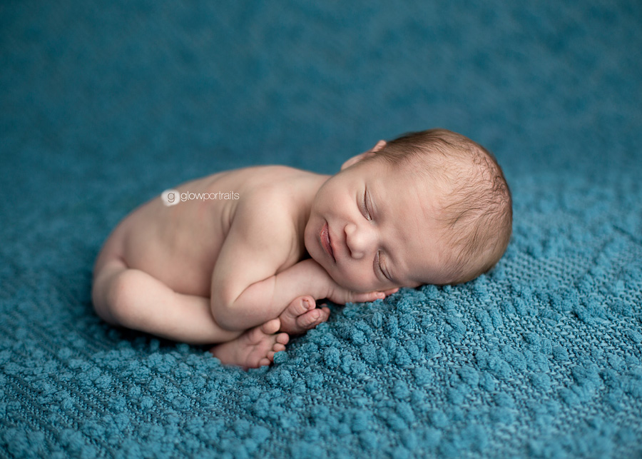 bc newborn photographer